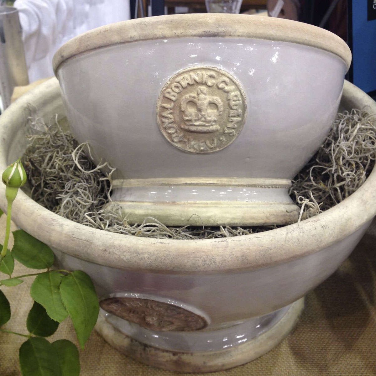 Kew Pottery — Botanical Collections